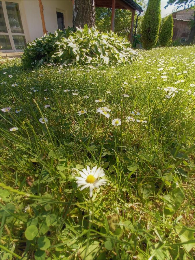 Chmarnik Apartamento Polańczyk Exterior foto